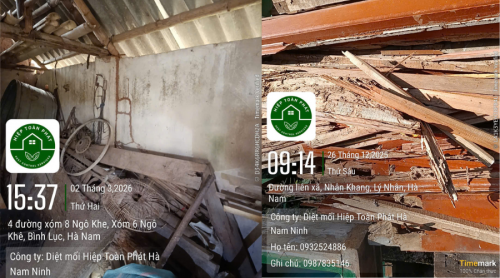 Diệt mối tận gốc hiệu quả tức thì tại Hà Nam, Nam Định, Ninh Bình - Gọi Có Mặt Ngay